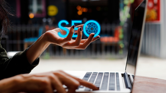 Exemplo de SEO 3